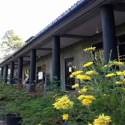 Meditation Hall
